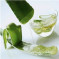 Aloe Vera can cure mostly everything